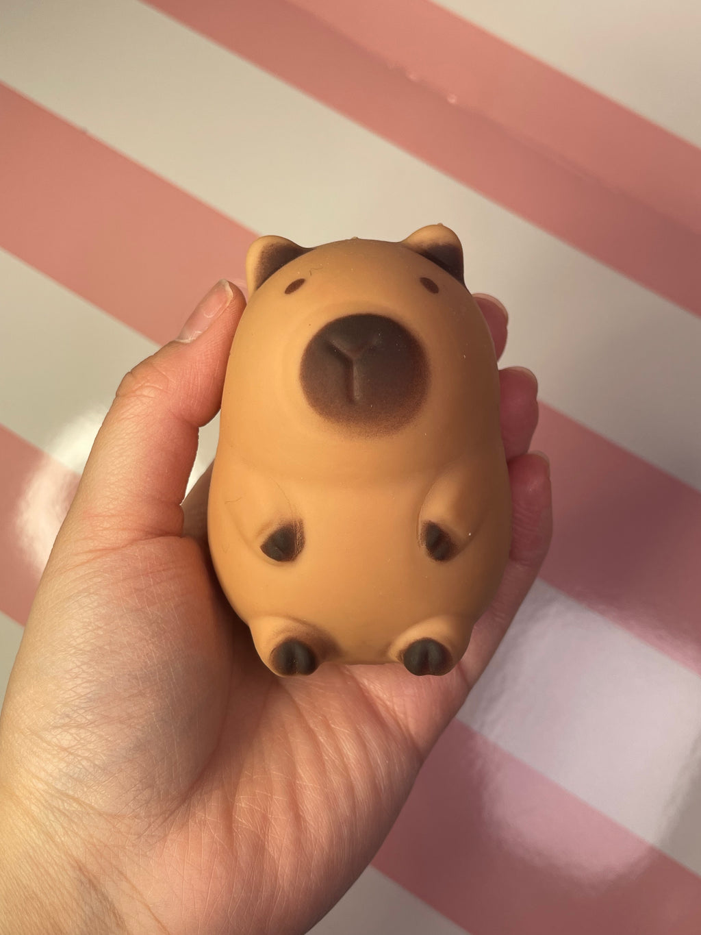 Capybara Squeeze Toy