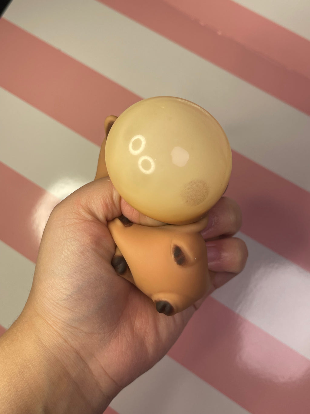 Capybara Squeeze Toy